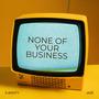 None Of your Business Files