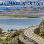 43 Miles of Ortega