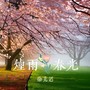 烟雨春光