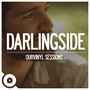 Darlingside (OurVinyl Sessions)