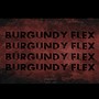 BURGUNDY FLEX the WASHINGTON COMMANDERS Song (Commanders Anthem) #commanders #washingtoncommanders #burgundyflex