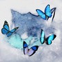 Frozen Butterfly