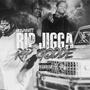 Rip Jigga Rip Godde (Explicit)