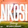 Nkosi (feat. Teplah, Virass, De Chem & DaSaint)
