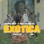 Exótica (feat. Jonatan Sestao, Charly Gold & 21Nxxtes)