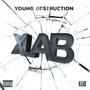 YOUNG DESTRUCTION (Explicit)