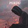 Perdu