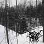 The Cold (Split with Feeble Call) [Explicit]