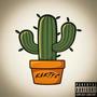 Кактус (Explicit)