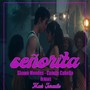 Señorita Remake