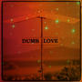 Dumb Love (Explicit)