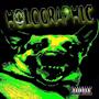 HOLOGRAPHIC (Explicit)