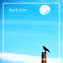 Black Crow