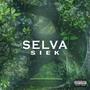 Selva (feat. Afrodeemusic)