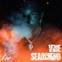 Vibe Searching (Explicit)