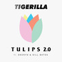 TULIPS 2.0 (Explicit)