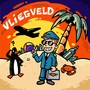 Vliegveld