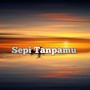 Sepi Tanpamu (Acoustic)