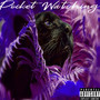 Pocket Watching (Explicit)