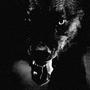BIG BAD WOLF (Explicit)