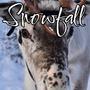 snowfall (Explicit)