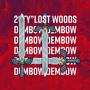 Lost Woods (Dembow Cover)