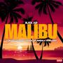 Malibu (feat. Bergie Fresh, Mlando Shongwe, Fash Ngobese & Tshepo 2short)