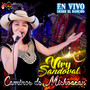 Caminos De Michoacan