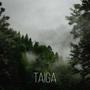 taiga