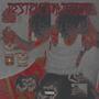 Destruction Terror (Explicit)