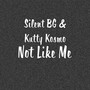 Not Like Me (Explicit)