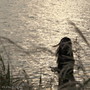 닿을 수 없는 밤