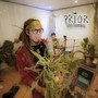 Live Session