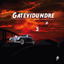 Gatevidundre