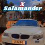 CameLEOs X Salamander (Explicit)