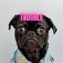 Trouble