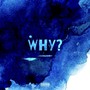 Why? (Explicit)