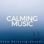 Calming Music: Deep Relaxing Sounds, Balanced Life, Better Concentrarion, Meditative Power, Inner Therapy