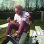 Wing Span