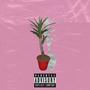 House Plants (feat. Minah Jay) [Explicit]