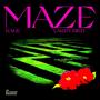 Maze