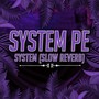 System Pe System