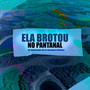 Ela Brotou No Pantanal (Explicit)