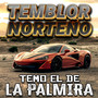 Temo El De La Palmira