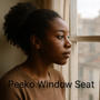 Window Seat (Explicit)