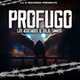 Profugo