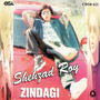 Zindagi, Vol. 4