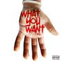 What You Want, Vol. 1 (Explicit)