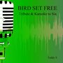 Bird Set Free: Tribute & Karaoke to Sia