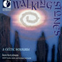 Celtic Ken Kolodner: Walking Stones (A Celtic Sojourn)